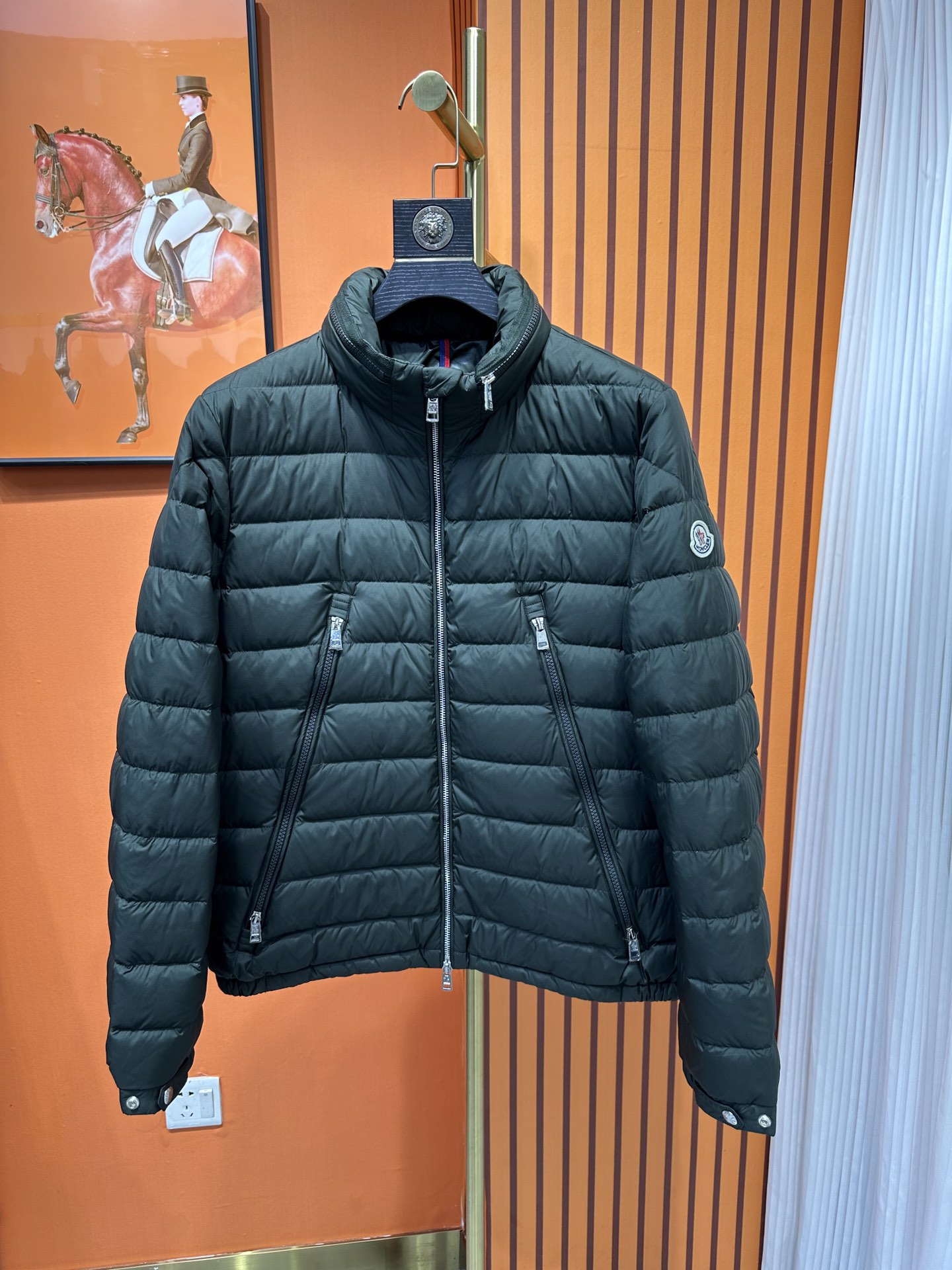 Moncler Down Jackets